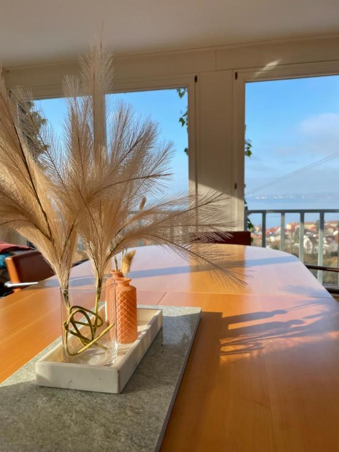 Villa Mit Traumhaftem Blick Uber Den Bodensee Bregenz Exteriör bild